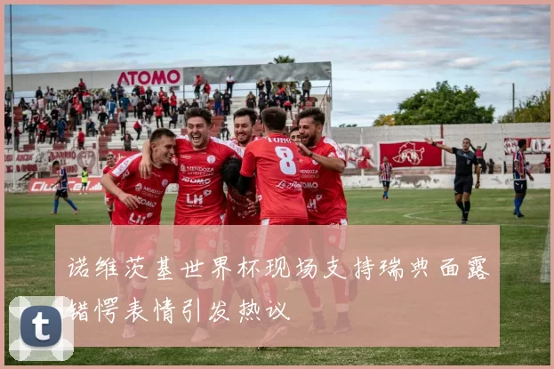 诺维茨基世界杯现场支持瑞典面露错愕表情引发热议