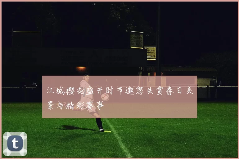 江城樱花盛开时节邀您共赏春日美景与精彩赛事